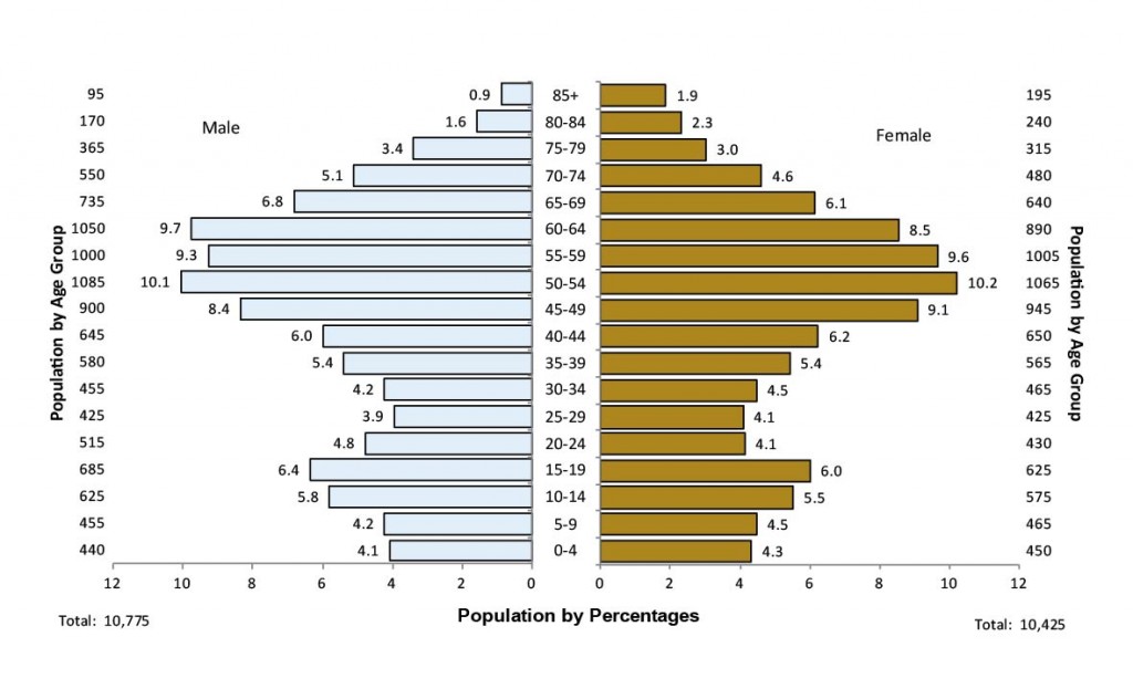 This is a population pyramid of Population Distribution by Age and Sex, Sudbury District, 2011. Data for this chart can be found in Table 2.5a and Table 2.5b below.