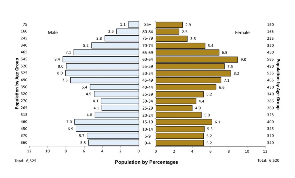 This is a population pyramid of Population Distribution by Age and Sex, Manitoulin District, 2011. Data for this chart can be found in Table 2.6a and Table 2.6b below.