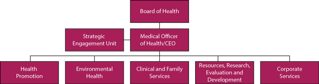 This image depicts a high level organizational chart for the Sudbury & District Health Unit.