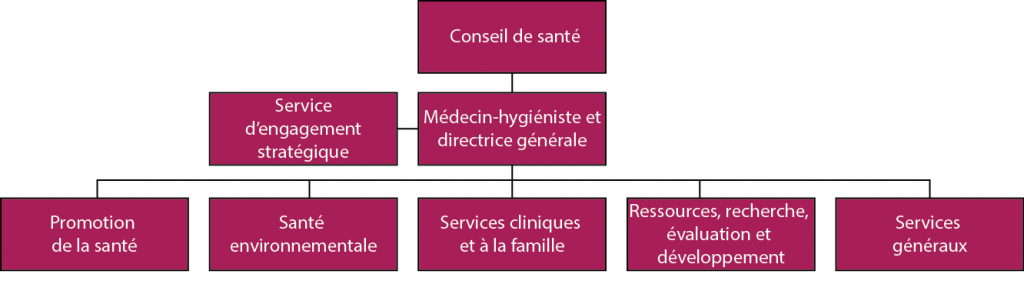 Cette image représente un organigramme de haut niveau pour le Service de santé publique de Sudbury et du district.