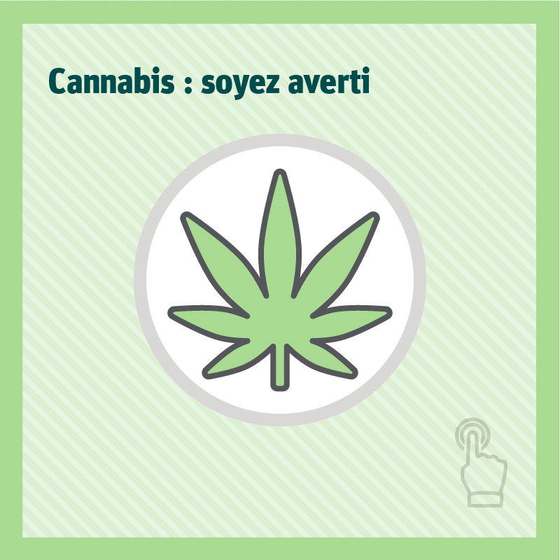 Cannabis : soyez averti