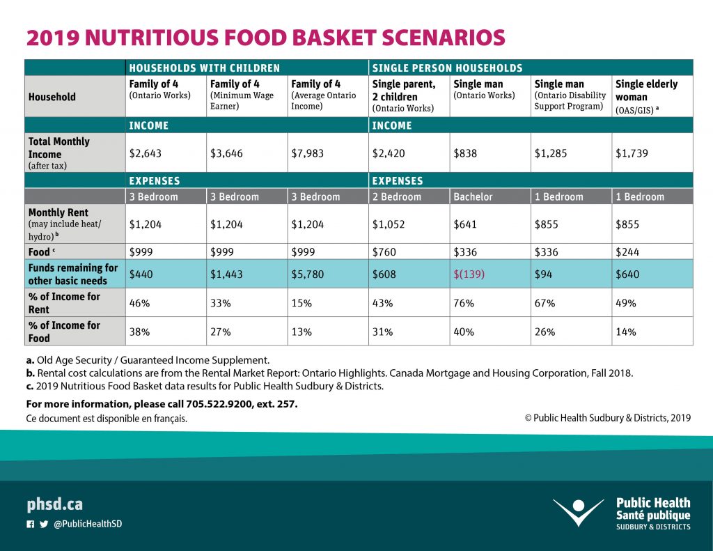 2019 Nutritious Food Basket Scenarios
