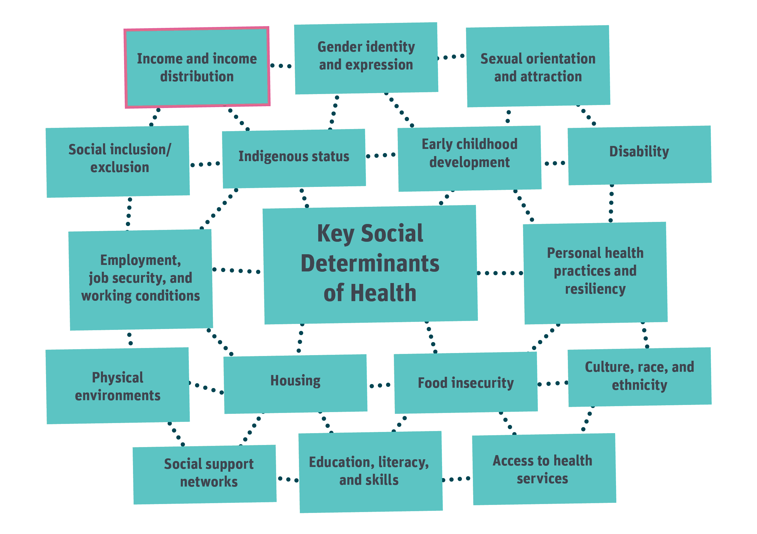 Figure 1 shows the interconnectedness of the social determinants of health. Income and Income Distribution are highlighted as the focus of this report. The key social determinants of health depicted are listed below.