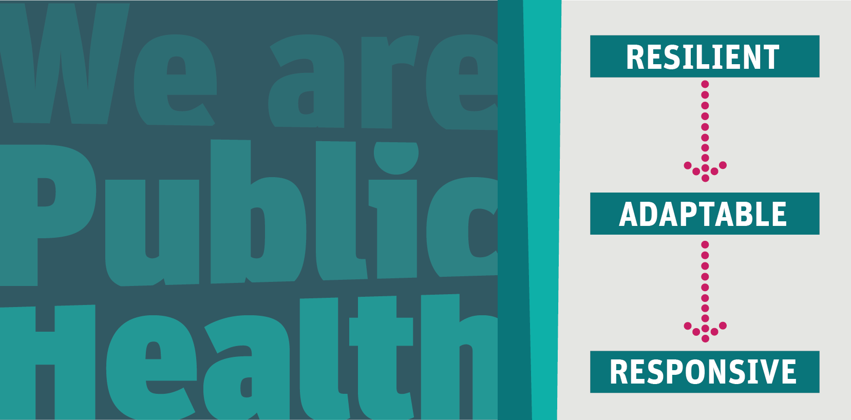 We are public health, Annual Report 2019: resilient, adaptable, responsive