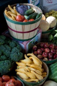 Northern Fruit and Vegetable Program