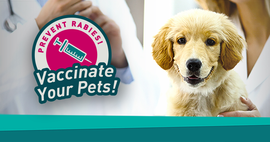 Prevent rabies! Vaccinate your pets!