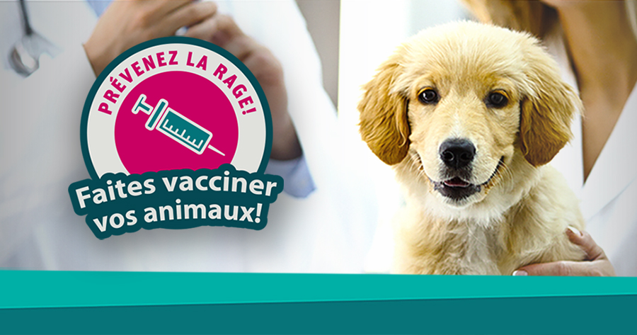 Prévenez la rage! Faites vacciner vos animaux!