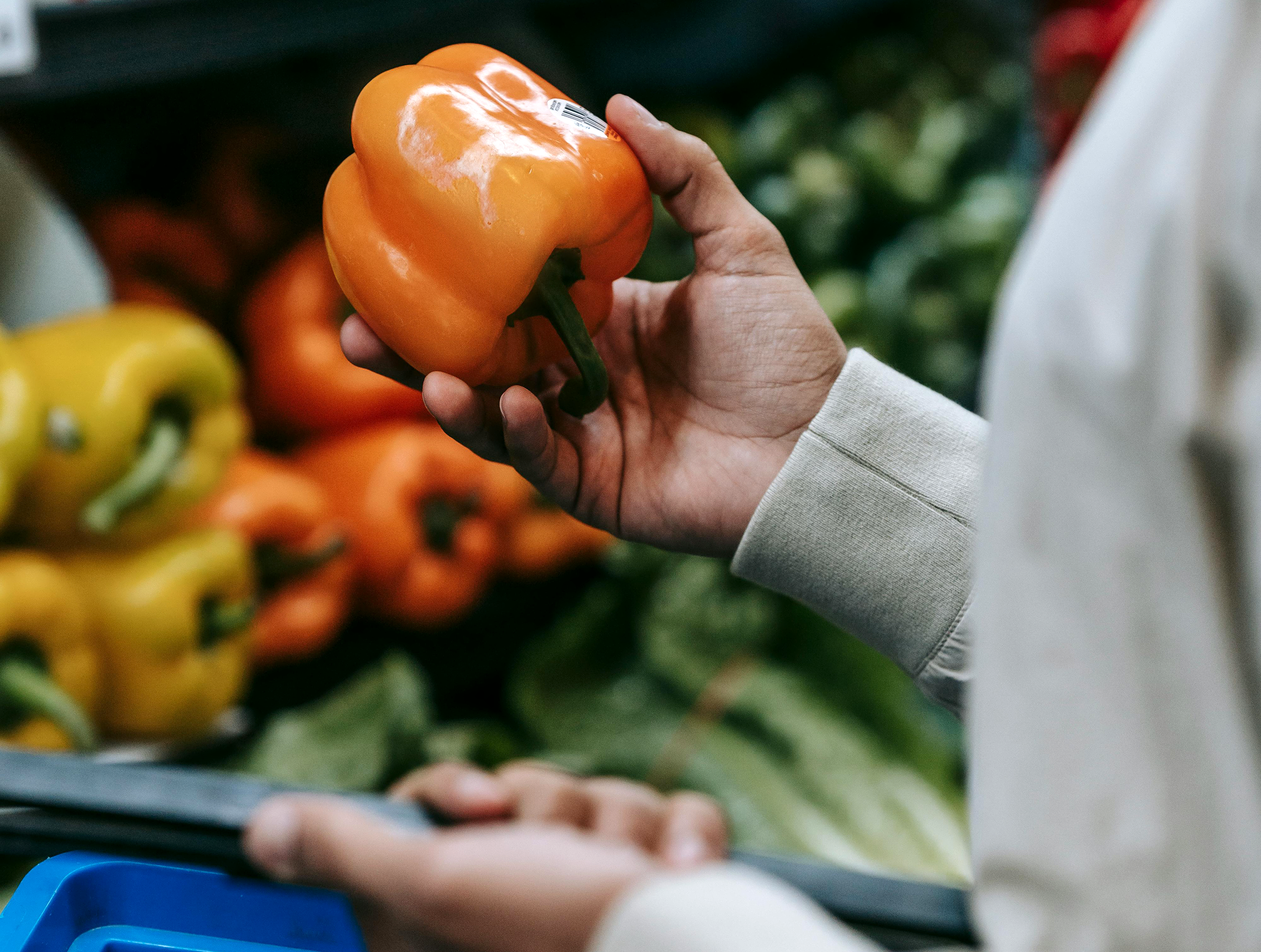 An image of a person's hands holding an orange bell pepper in a grocery store.